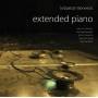 sebastian Berweck - Extended Piano