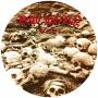 Bathory - Requiem (picture Disc)