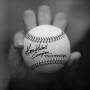 Moonlight Nymph - Knuckle Ball Complex