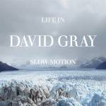 David Gray - Life in Slow Motion -20th Anniversary Edition-