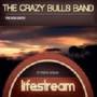The Crazy Bulls Band - Lifestream