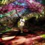 sally Seltmann - Hey Daydreamer