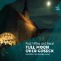 Paul And Band Millns - Full Moon Over Goseck