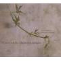 Tom Arthurs & Richard Fa - Postcard From Pushkin