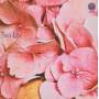 Still Life - Still Life
