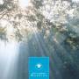 Various - Morning-Ozella Compilation