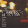 Various - The Future Sound Of Gaeldom