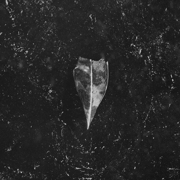 Aion (White 2LP) 1