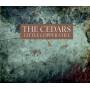 Cedars - Little Copper Still