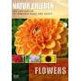 Special Interest - Natur Erleben: Flowers [Regio free (0)]