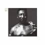 Muddy Waters - After The Rain