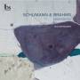 Brahms / Solaun - Digressions
