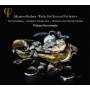 Herreweghe / Hallenberg / Orchestre Des Champs-Ely - Werke Fr Chor Und Orchester