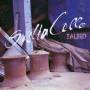 Peter Schindler / Saltacello - Salted