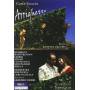 Coccia / Mishketa / Martyrosian / Fabbri / Adami - Arrighetto [US-Version, Regio 1]