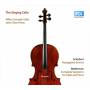 Niklas Schmidt / John Chen - The Singing Cello