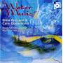 V / C - Domeniconi: Watermusic