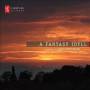V / A - A Fantasy Idyll