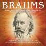 Brahms / Vodicka / Palenicek / Cechova / Hradec - Double Con 102 & Pno Con 1 15