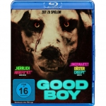 Amalie Willoch Njaastad / Nicolai Narvesen Lied / + - Good Boy [DE-Version, Regio 2/B]