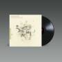Frightened Rabbit - The Midnight Organ Fight