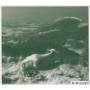 Domenic Landolf - Wanderlust