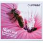 Duptripe - Dizzy Bee Powdered
