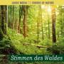 Naturgerusche - Stimmen Des Waldes