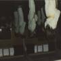 Jaws - The Ceiling