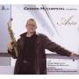 Gerard McChrystal / + - Aria