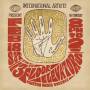 Thirteenth Floor Elevators - Live Evolution Lost