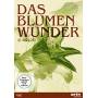 Max Reichmann - Das Blumenwunder [DE-Version, Regio 2/B]