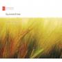 Lott / Johnson - Summertime