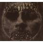 Vingulmork - Chiaroscuro