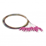 Synergy 21 Kabel, Dosen, Etc. - Pigtail  fibre optique SC 50/125u, 2 m OM4, pack de 12, couleur, Synergy 21, 