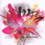 Various - True House (Shack Music)