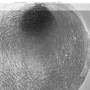 Ursula Bogner - Sonne=Blackbox