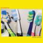 The Paranoyds - Carnage Bargain (Ltd.Neon Green Vinyl)