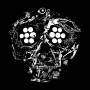 Young Widows - Decayed: Ten Years Of Cities,Wounds,(...)