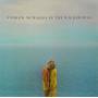 andrew Mcmahon - Andrew Mcmahon In The Wilderness