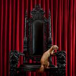 Brume - Marten (Trans Red Vinyl)