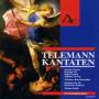 Scholl / Weimarer Barockens. / Gor - Kantaten (TW 1:1328,1:1313,1:2