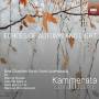 Kammerata Luxembourg - Echoes of Autumn and Light