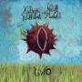 Kathryn Williams - Two