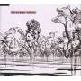 Dir En Grey - Embryo