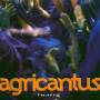 Agricantus - Tuareg