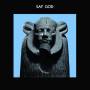 Daniel Higgs - Say God