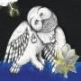 Songs:Ohia - Magnolia Electric Co. (10TH Anniversary Deluxe Ed)