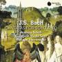 A. Scholl / P. Herreweghe / Collegium Vocale - Altsolokantaten
