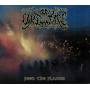 Vike Tare - Feed The Flames